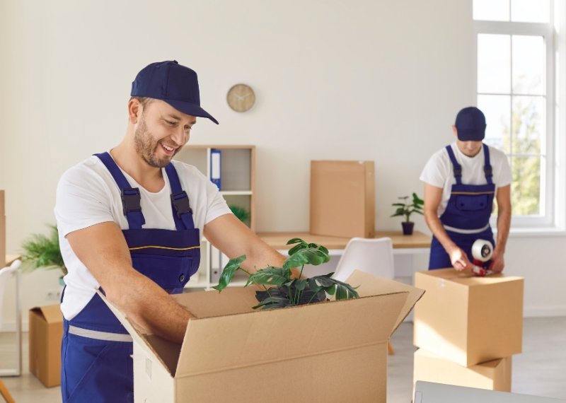 Movers in Maumee OH