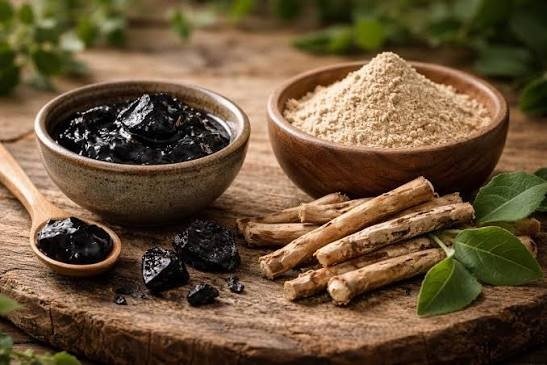 KSM ashwagandha capsules benefits