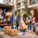 packers and movers in Pune