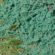 Hydroseeding North Texas