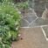 Italian porphyry