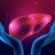 liver transplant cost in singapore